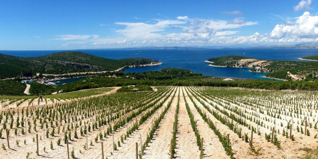 sailing vacation holiday croatia wine lovers